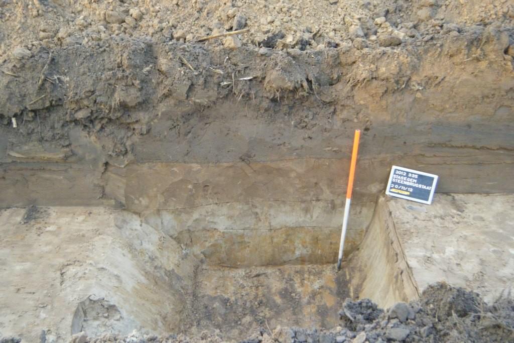 In het noorden van het onderzoeksgebied is de bodem is weergegeven als een matig droge lemige zandbodem met sterk gevlekte, verbrokkelde textuur B horizont (Scc).