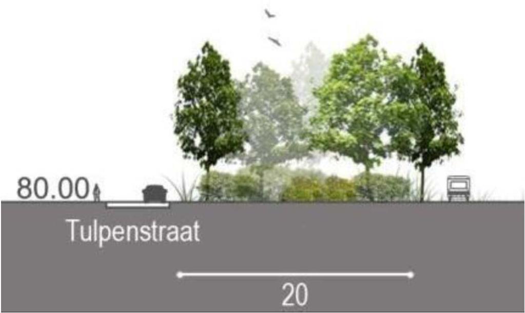 ontwikkeling, infrastructuur of een waardevol landschapselement (bv. rand van bestaande wegen, voorgevellijn, bomenrij, de rand van de vallei of een boomgaard).