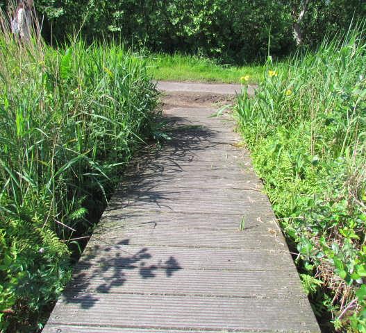 In het tracégedeelte dat de Zuideinderplas op een smalle kade doorsnijdt wordt parallel aan de huidige kade (met rietkragen) een vlonderpad