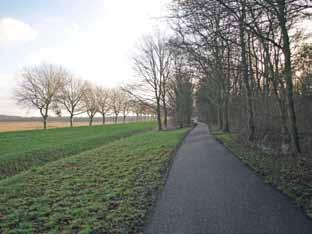 De Maassluissedijk ligt lager dan het Oeverbos en maakt als het ware onderdeel uit van het opgehoogde