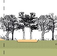 Ook daar waar paden in het bos worden opgeruimd kan, bij voldoende ruimte, een leeflaag worden aangebracht.