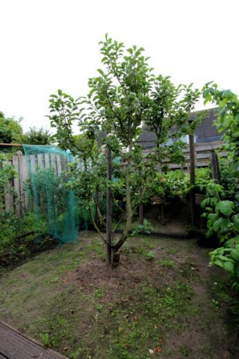 TUIN De achtertuin met vrije achterom is op het zonnige zuiden gelegen. De tuin is fraai aangelegd met sierbestrating, siergrind, plantenborders en een gazon.