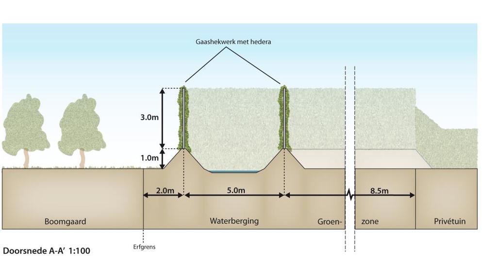 Inpassing achterzijde De achterzijde van de toekomstige woonpercelen grenzen aan een in bedrijf zijnde fruitboomgaard met laagstamfruitbomen.