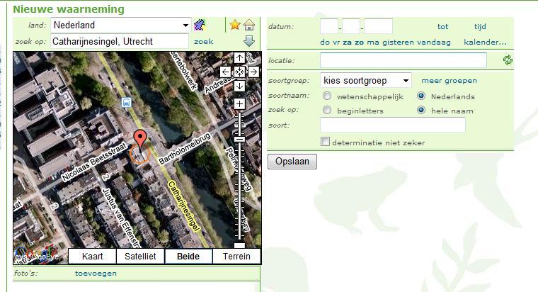 2. De datum en tijd aangeven De tweede stap van het doorgeven van een waarneming, is het aangeven van datum en tijd. Dit doet u rechtsboven in het invoerscherm.