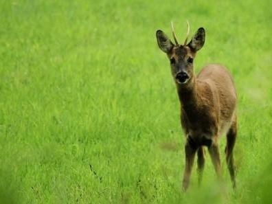 Help mee bij de bescherming en ontwikkeling van het landschap in Overijssel en het onderhoud van wandel- en fietsroutes, zodat je kunt blijven genieten van dit mooie, afwisselende