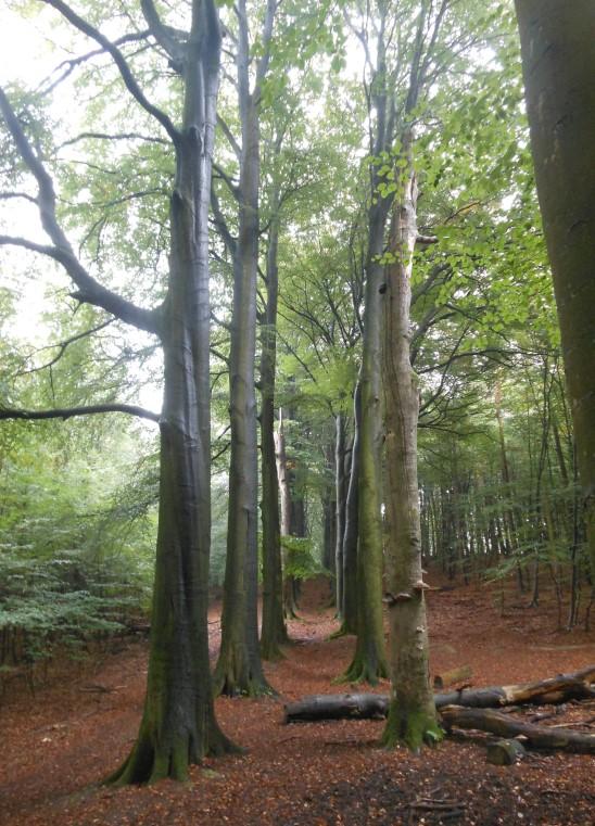 nodige route-instructie mee en gingen op