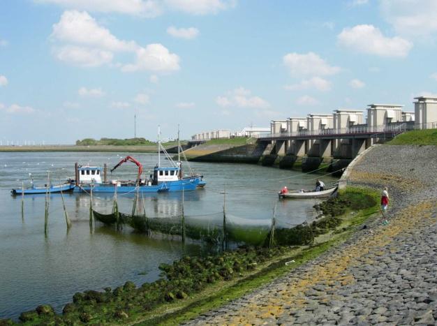 1.5. Doelstelling De doelstelling van de aanleg van een vismigratie voorziening is meervoudig (Haalbaarheid en Projectplan Vismigratierivier Afsluitdijk 10 januari 2013, aangescherpt in de werksessie