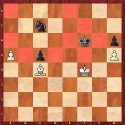 5 Figuur 7. wart is in ugzwang De koning kan nu enkel op een zwart veld gaan staan. En het paard kan enkel naar het veld e8. ant als het paard naar: 3...Ne6+ springt, dan volgt er natuurlijk: 4.