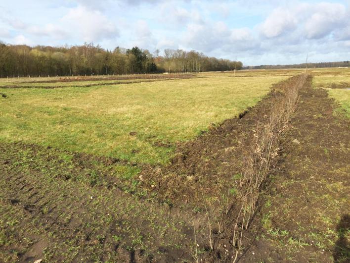 Fliegerhorst wandelroute 24 km 1 Eerste luchthaven KLM-toren Het belevingspad door het natuurgebied gaat langs de oude fundamenten van