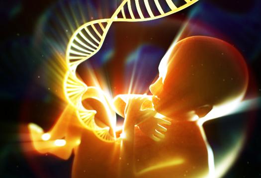 Draaiboek TRIDENT studie Trial by Dutch laboratories for Evaluation of Non-Invasive Prenatal Testing Aanbod NIPT Dit protocol is bedoeld voor zorgprofessionals die werkzaam zijn in de Prenatale