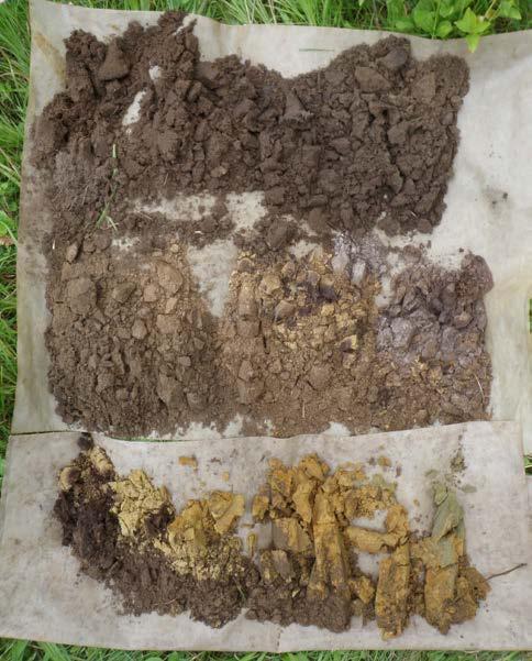 In boring 5 en 6 zijn aan de basis lichtgrijze en donkerbruine vlekken/brokken te zien. Dit zijn de restanten van een vergraven humuspodzolbodem.