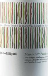 Italië, Marche I.G.T. 100% passerina Heerlijke, sappige en fruitige wijn uit de Marken, het prachtige wijngebied aan de Adriatische kust. Tikje bloemig in de geur.