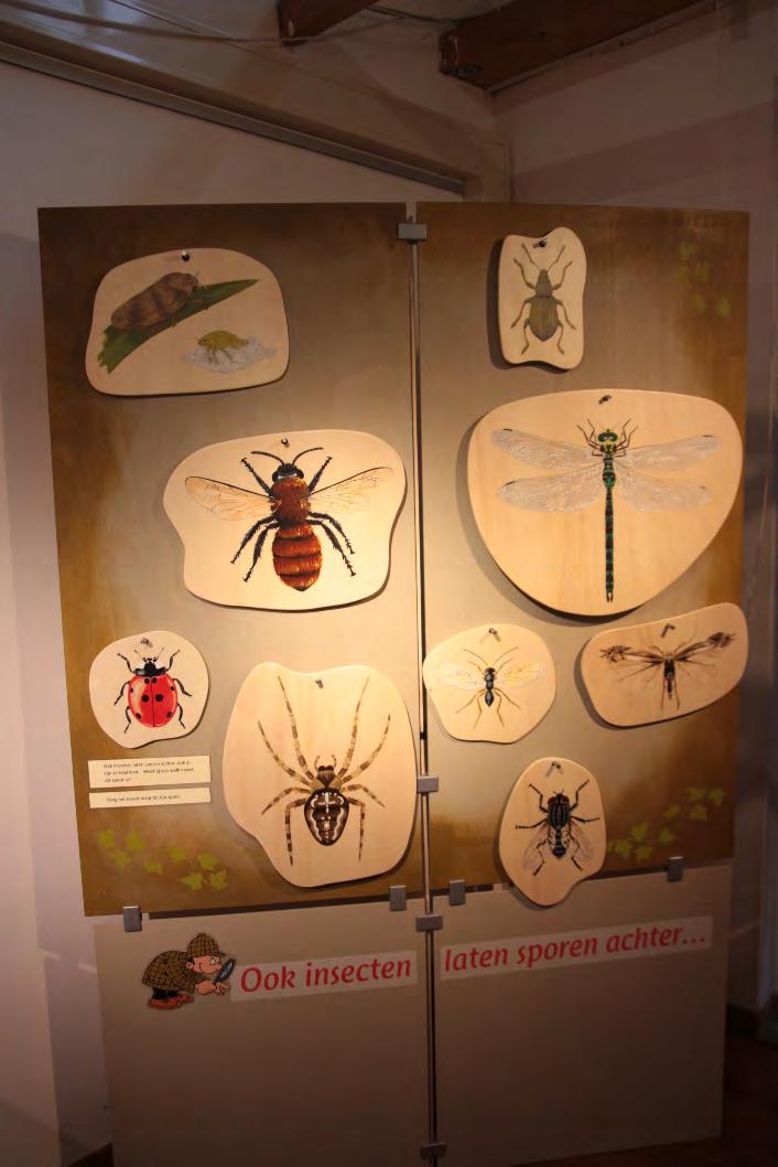 informatie over dierenpoep. 2 panelen met sporen van insecten.