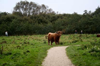 4 De kwaliteit van de lucht in Drenthe De provincie Drenthe heeft de huidige situatie van de luchtkwaliteit in Drenthe laten onderzoeken, waarbij onder andere gebruik gemaakt is van de gemeentelijk