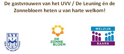plaats: De Leuning, Oranjestraat 8, Baarn, tel. 542 20 20 kosten: vrijwillige bijdrage Dinsdag 07 november 2017: Doesjka Reijn (Ouderenadviseur Welzijn Baarn) over De Verhuiscoach.