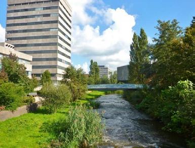 Dit park vormt een groene zone die doorloopt in de Genneper Parken, een ideaal groen gebied om bijvoorbeeld te gaan wandelen of joggen.