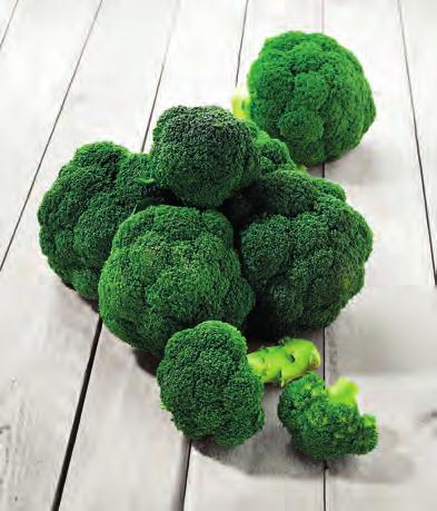 -25% * -25% * BIJ AANKOOP VAN 2 ZAKJES Broccoli 2 x