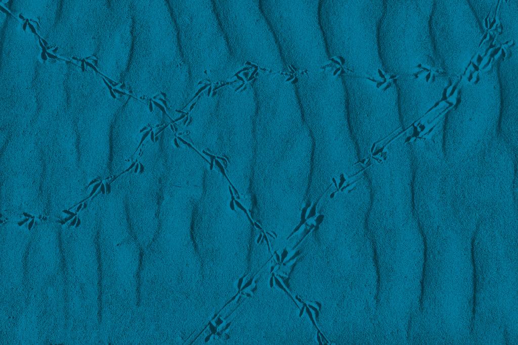 3972 / RAADZAAL EDE 11 VLOERBEDEKKING Het tapijt wordt Ede blauw, met daarin subtiele sporen van schapen, karakteristiek voor Ede.