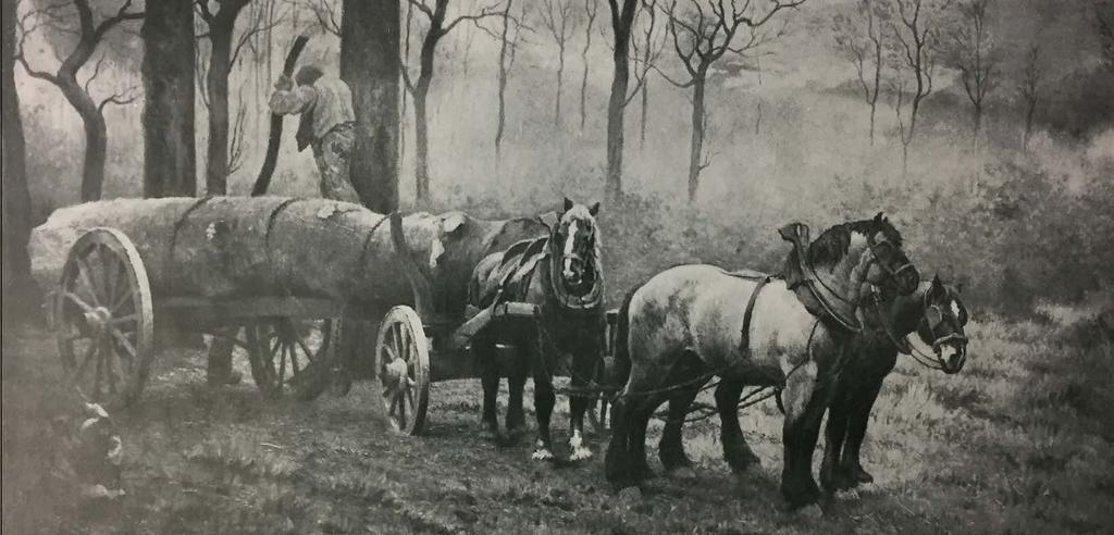 Promoten van een multifunctioneel breed inzetbaar trekpaard Fokkerij richten op lichter en gezonder paard dat breed ingezet kan worden Verhogen zichtbaarheid, draagvlak en