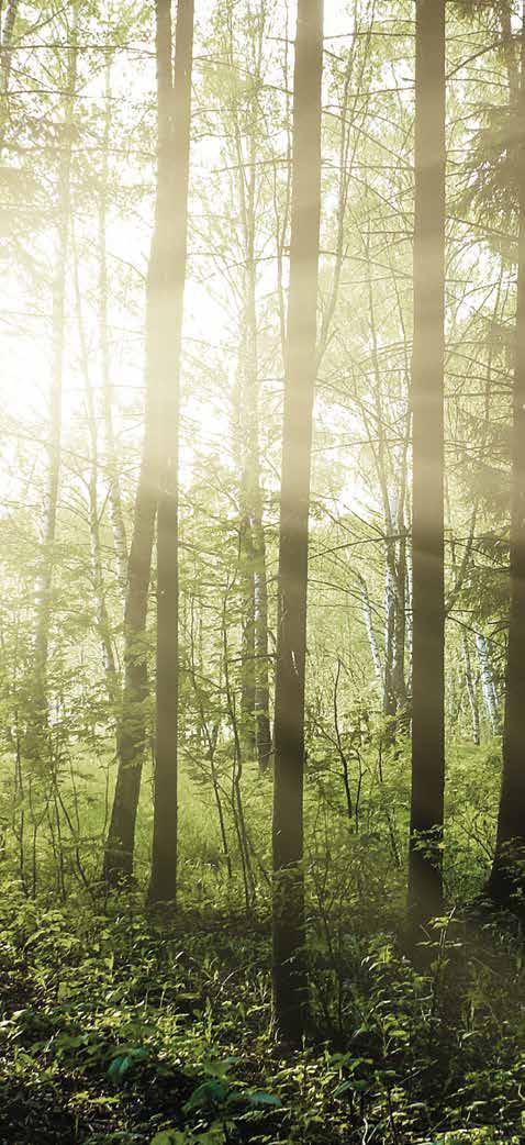 Verantwoord bouwen Hout is een milieuvriendelijk bouwmateriaal. Het is een bewuste keuze in de strijd tegen het broeikaseffect.