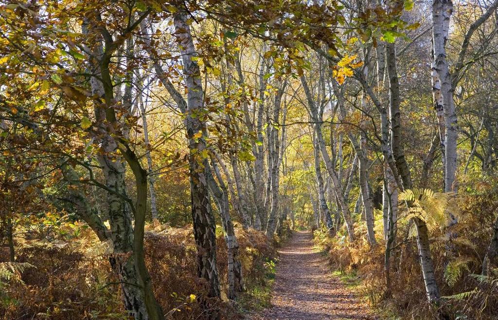 Heerlijk genieten in de natuur De Morvan is een