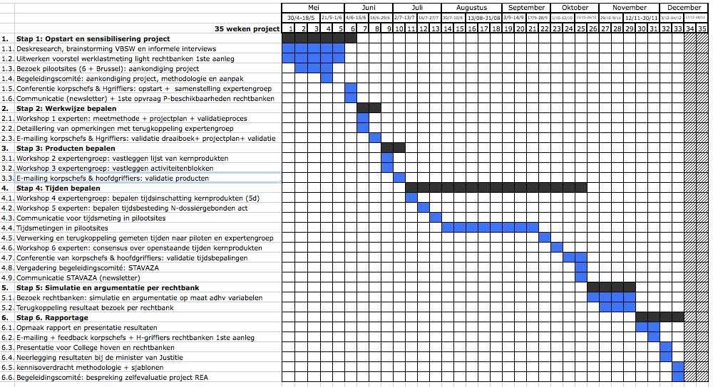 Voorbeeld projectplan met