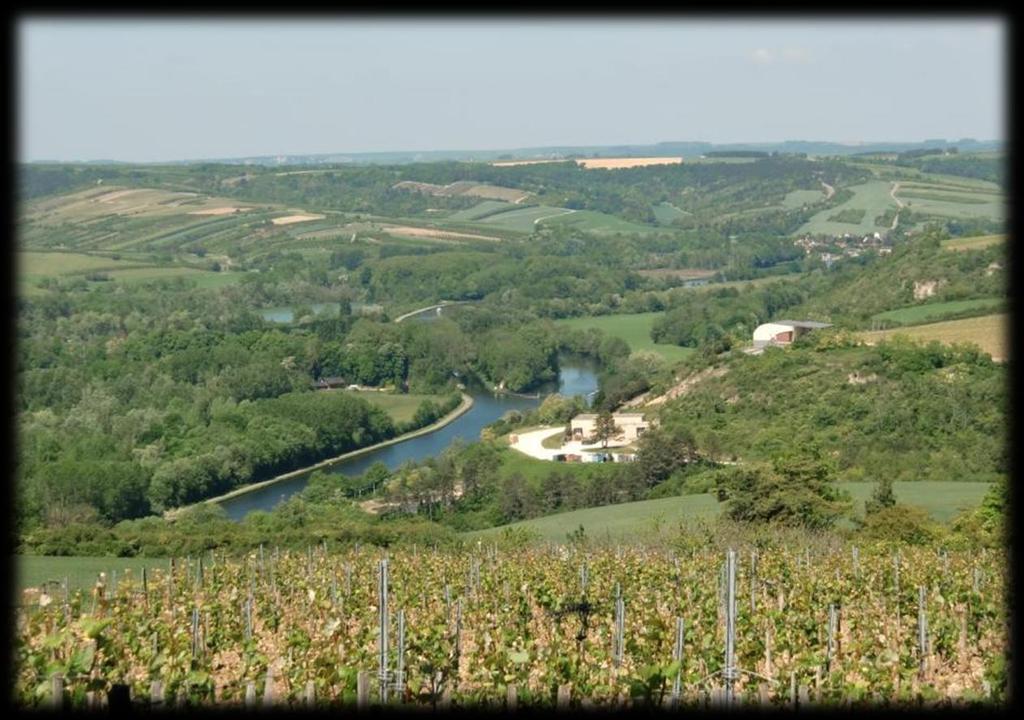 Dit wijnbouwgebied wordt vaak bedreigd door de vorst en dit tot ver in de maand mei.