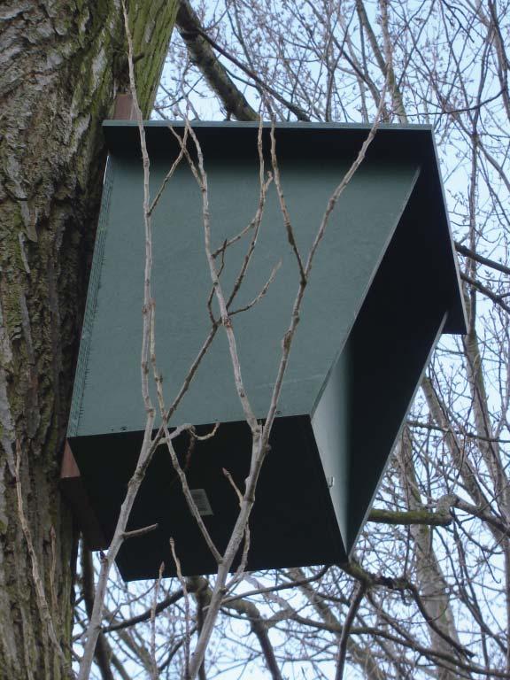 bosuil nestkast In de laatste maanden is het volgende te melden Nestkasten schoonmaken.