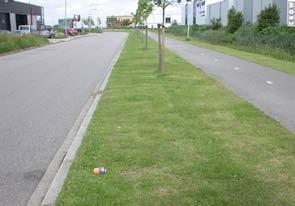 ZWERFAFVALBEHEERSING OP GRAS 9 Zwerfafval betreft al het afval op