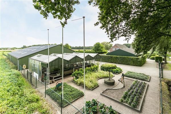 Tuinkas: De royale tuinkas is opgetrokken uit gegalvaniseerde staanders met een betonnen