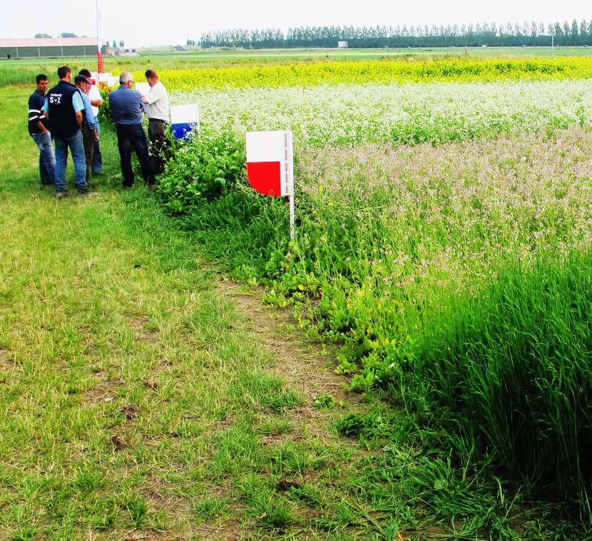 BOUWSTENEN De mijlpalen worden gerealiseerd aan de hand van een vijftal bouwstenen: Systeemaanpak,