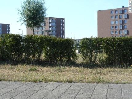 Redelijk onderhouden Ziet er redelijk onderhouden uit.