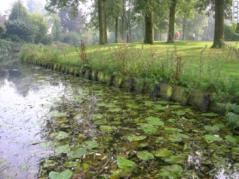 Heel weinig zichtbare beschadigingen (minder dan 5% per 100m) Grasmat is gesloten, max 5% is dood