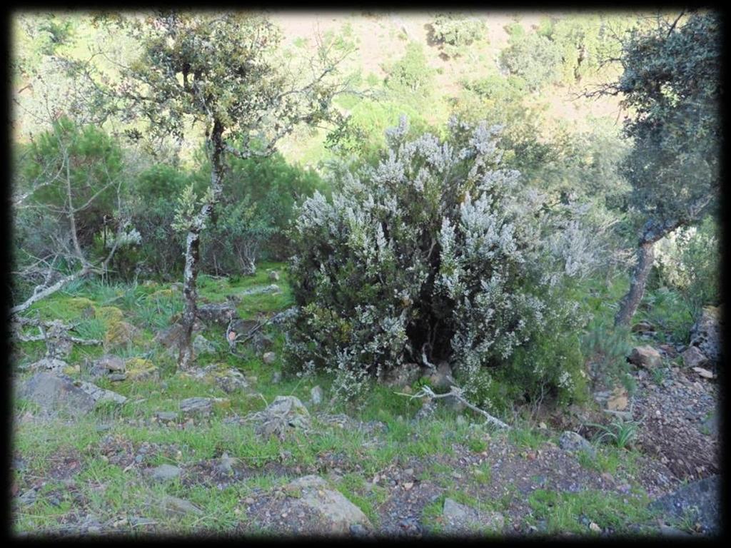 Het park combineert natuurschoon met oude, lange tradities van de