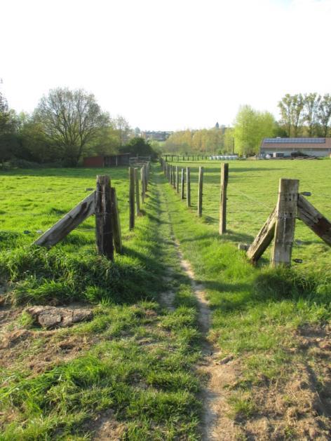 .. Ik bezocht de trage wegen in de periode: zomer / najaar / winter / voorjaar Deze bundel (papieren of digitale