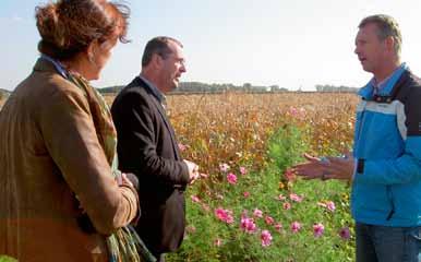 De regie over het landschap Nederlandse landschappen zijn ontstaan onder invloed van bodem, wind, water en natuur en door een lange geschiedenis van (agrarisch) gebruik.