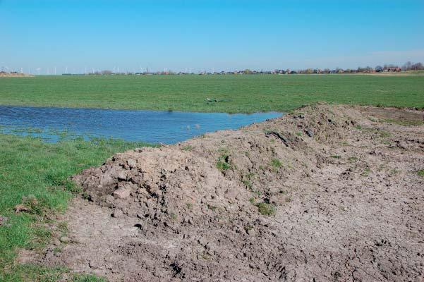 Samenvatting Eemland is een uniek gebied. Open polders zonder opgaande begroeiing. In het kader van de ruilverkaveling zijn destijds enkele melkveebedrijven naar deze open polders verplaatst.