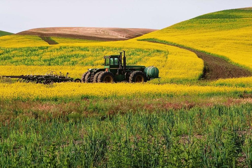 6. Landbouw in de Belgische economie Het aandeel van de landbouw in de Belgische economie, dat al erg laag was, neemt nog verder af en is nu onder 1% gezakt.