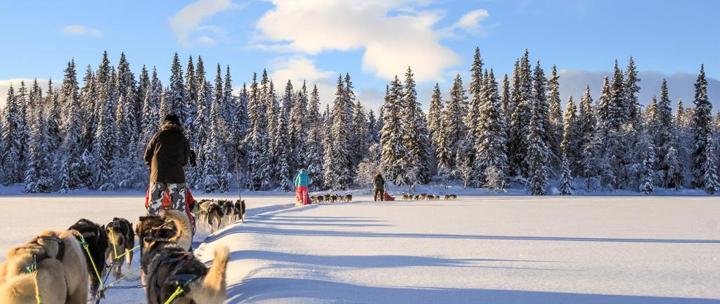 00u o T Optionele winterexcursies Hondensledetocht Sneeuwscootertocht Sneeuwschoenwandelen IJskarten Skiën Prijs