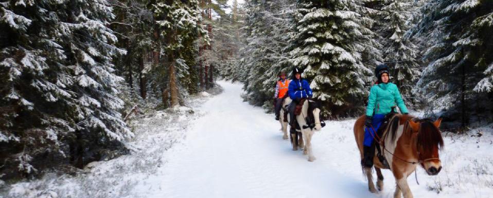 00u Optionele winterexcursies Hondensledetocht Sneeuwscootertocht Sneeuwwandelen IJsvissen Arresleetocht Paardrijden