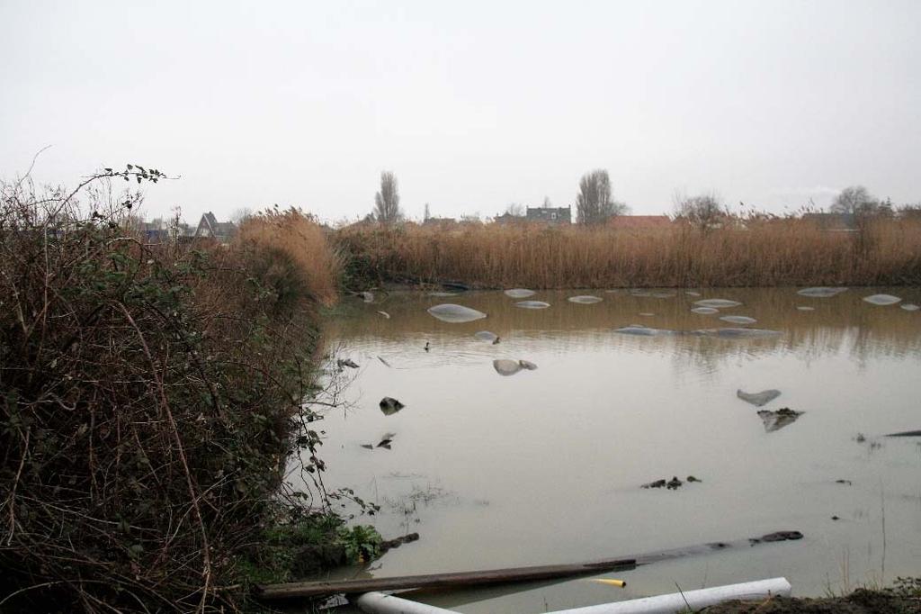 10 Bovendijk 38 & 50 te Kwintsheul 3 Beschermde soorten WNB In dit hoofdstuk worden eerst de biotopen beschreven die aanwezig zijn binnen het plangebied.