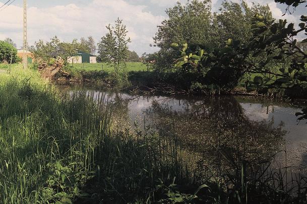 Een aantal ervan zijn parkvijvers en waterbekkens. Dit zijn meestal kunstmatig aandoende, veeleer eentonige milieus met rechtlijnige, kale oevers en scherpe overgangen tussen water en land.