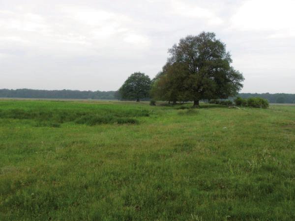 Broedvogel s van Leusenermaan in 2010 De Leusenermaan beslaat