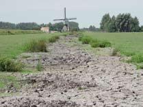 polderniveau te maken. Waar moeten paai- en opgroeilocaties worden aangelegd? Waar komen overwinteringplekken?