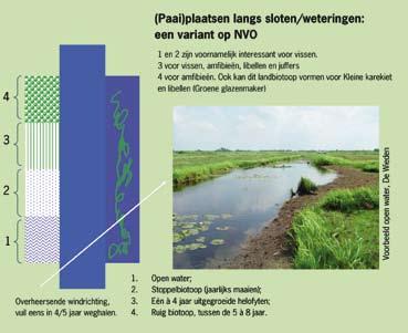 Voor de vissen zijn nvo s vooral van belang als paai- en opgroeigebied.