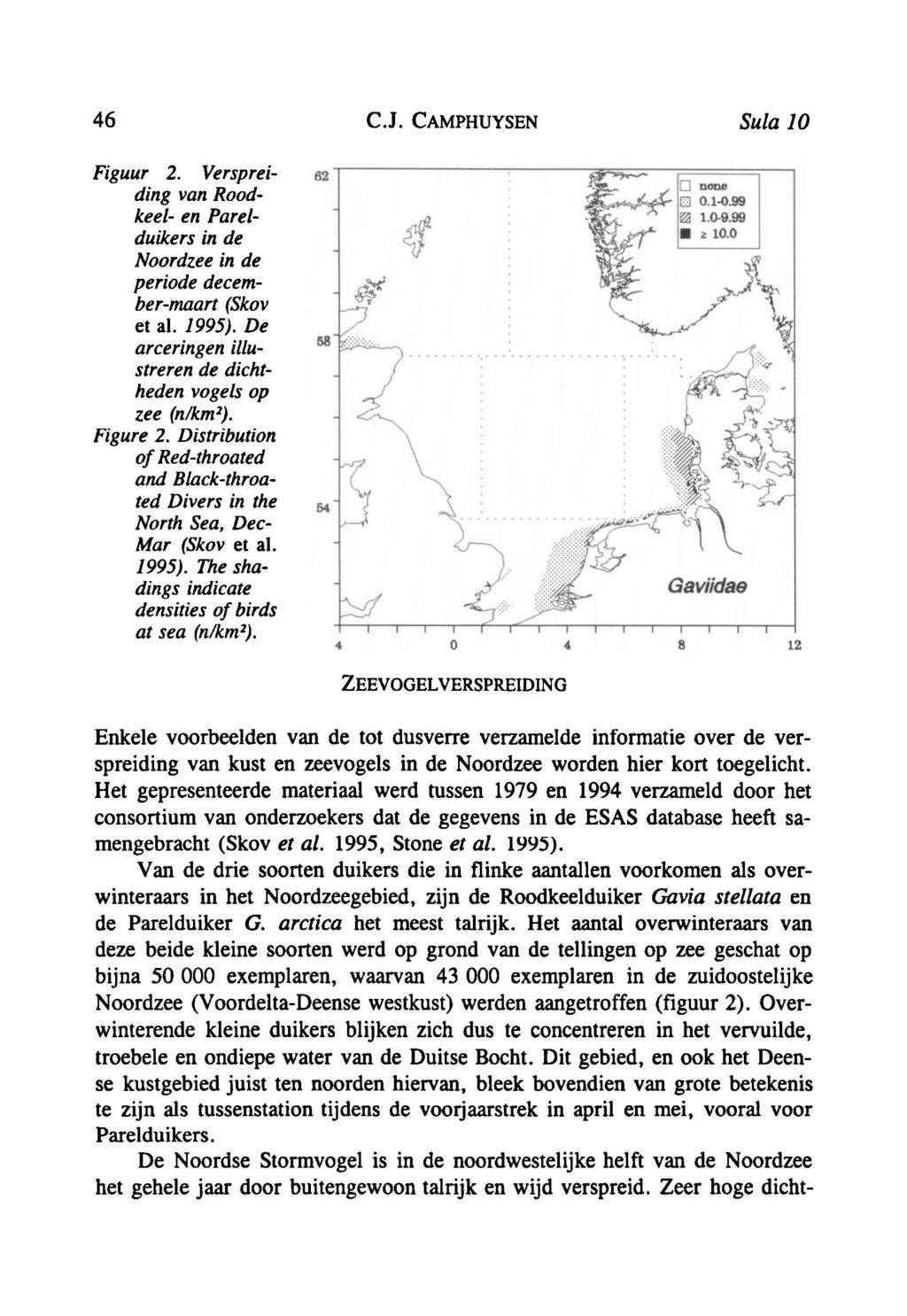 46 C.J. Camphuysen Sula 10 Figuur 2. Verspreiding van Roodkeel en Parelduikers in de Noordzee in de periode decembermaart (Skov et al. 1995).
