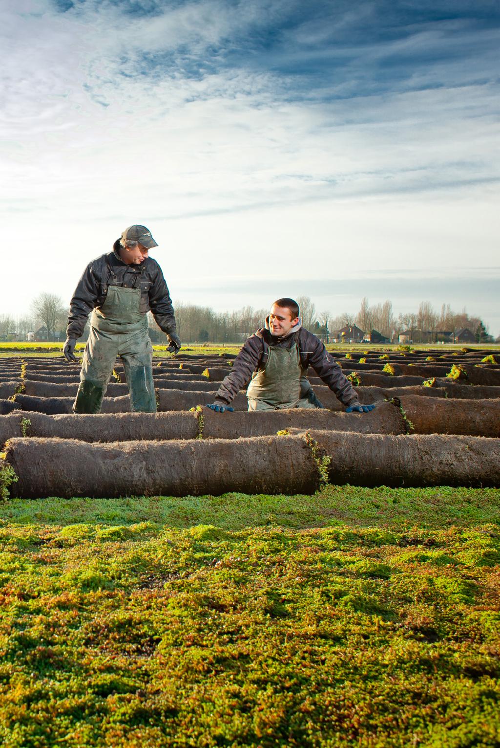 Making the world a bit greener every day Een enthousiast team, dat ruim honderd mede werkers telt, werkt voortdurend aan de kwaliteit van onze duurzame producten. We zijn tenslotte kwekers.