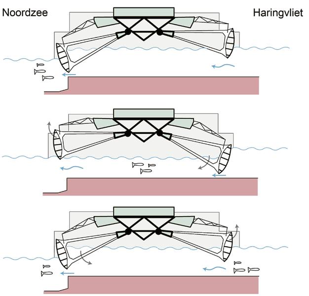 4.3 Maatregel 2: De visbalans - manage sluis als vissluis 4.3.1 Beschrijving In tegenstelling tot de vorige maatregel richt deze maatregel zich alleen op de bediening van de schuiven rond laagwaterkentering, tot een halfuur voor gelijk water.