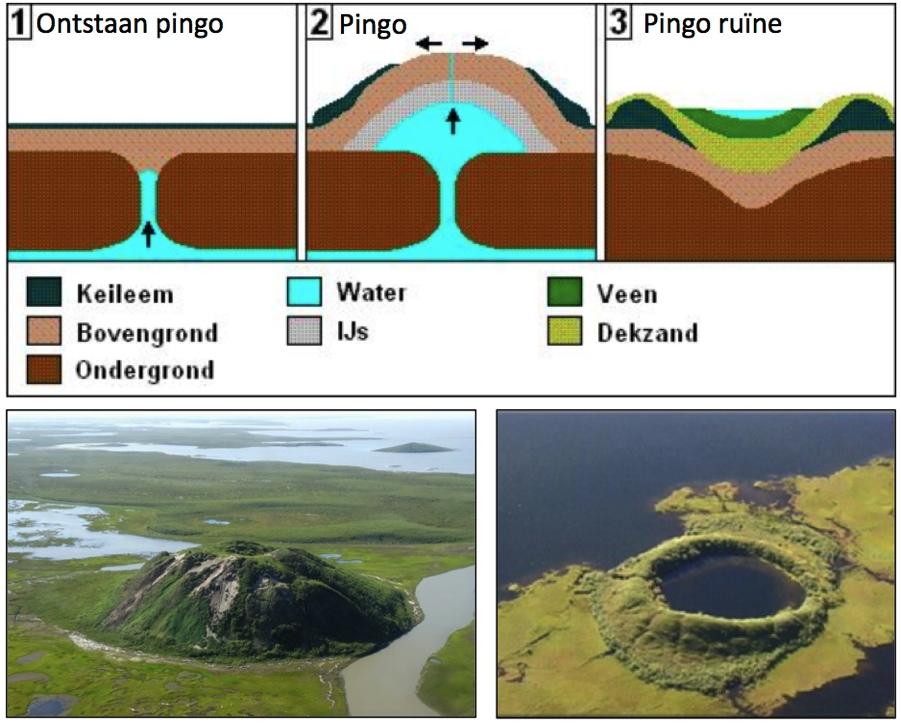 Gebruik figuur 6 voor de vragen 5 en 6. 5. Geef twee oorzaken voor de verschillen in dikte van de permafrost. 6. Leg uit hoe veen ontstaat in gebieden als die in figuur 6.