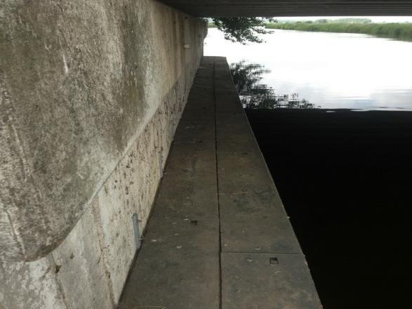De otter kan goed zwemmen maar verplaatst zich meestal te voet langs de oevers van het water. Dat betekent dat hij bij bruggen, waar de oever door beton wordt onderbroken, vaak de weg over steekt.